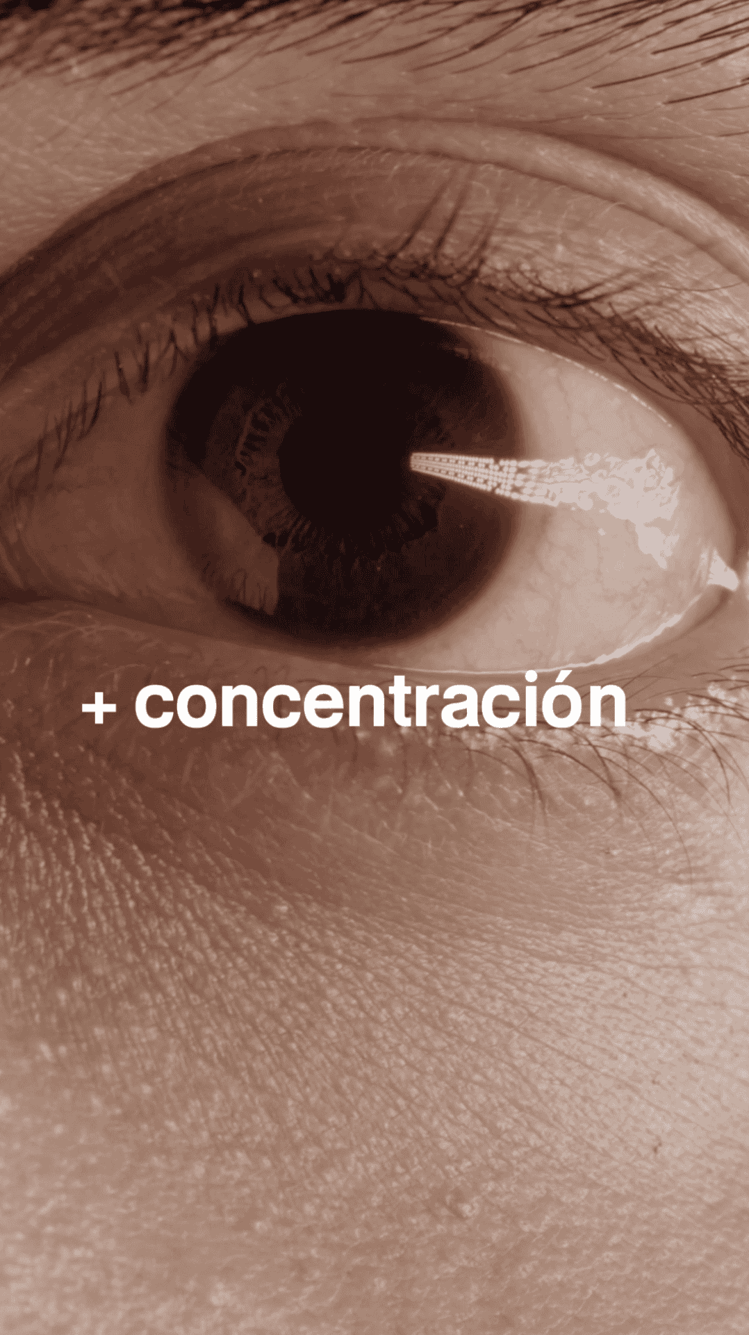 files/Concentracion_Origen-lab.com_Rebalance_2_1.png